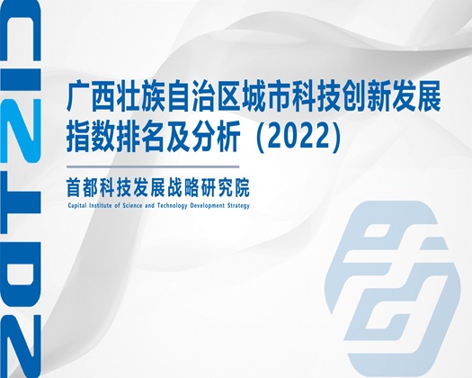 又长又粗大鸡巴操小穴视频免费【成果发布】广西壮族自治区城市科技创新发展指数排名及分析（2022）